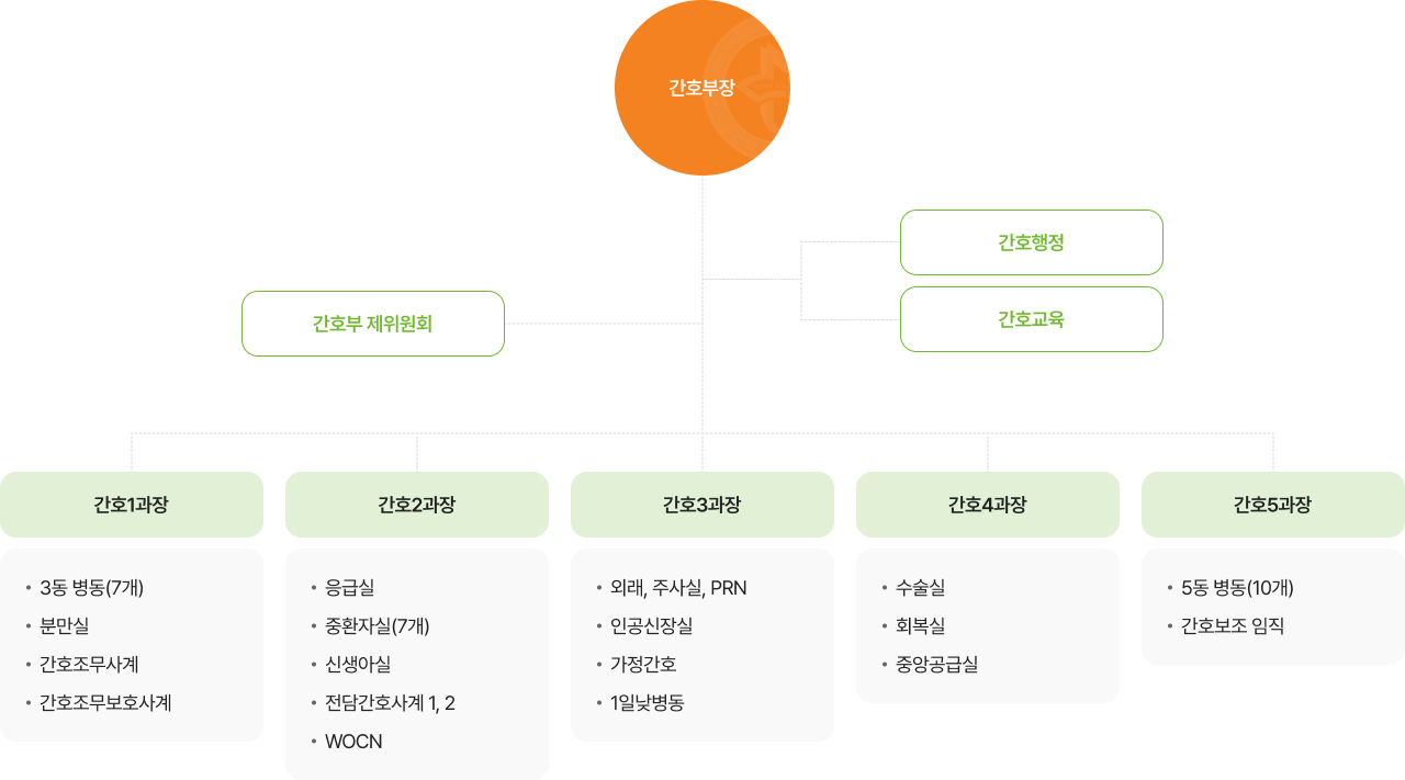 간호부 조직도 간호부장, 간호부 제위원회, 간호행정, 간호교육 등