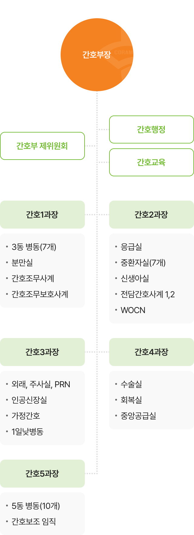 간호부 조직도 간호부장, 간호부 제위원회, 간호행정, 간호교육 등